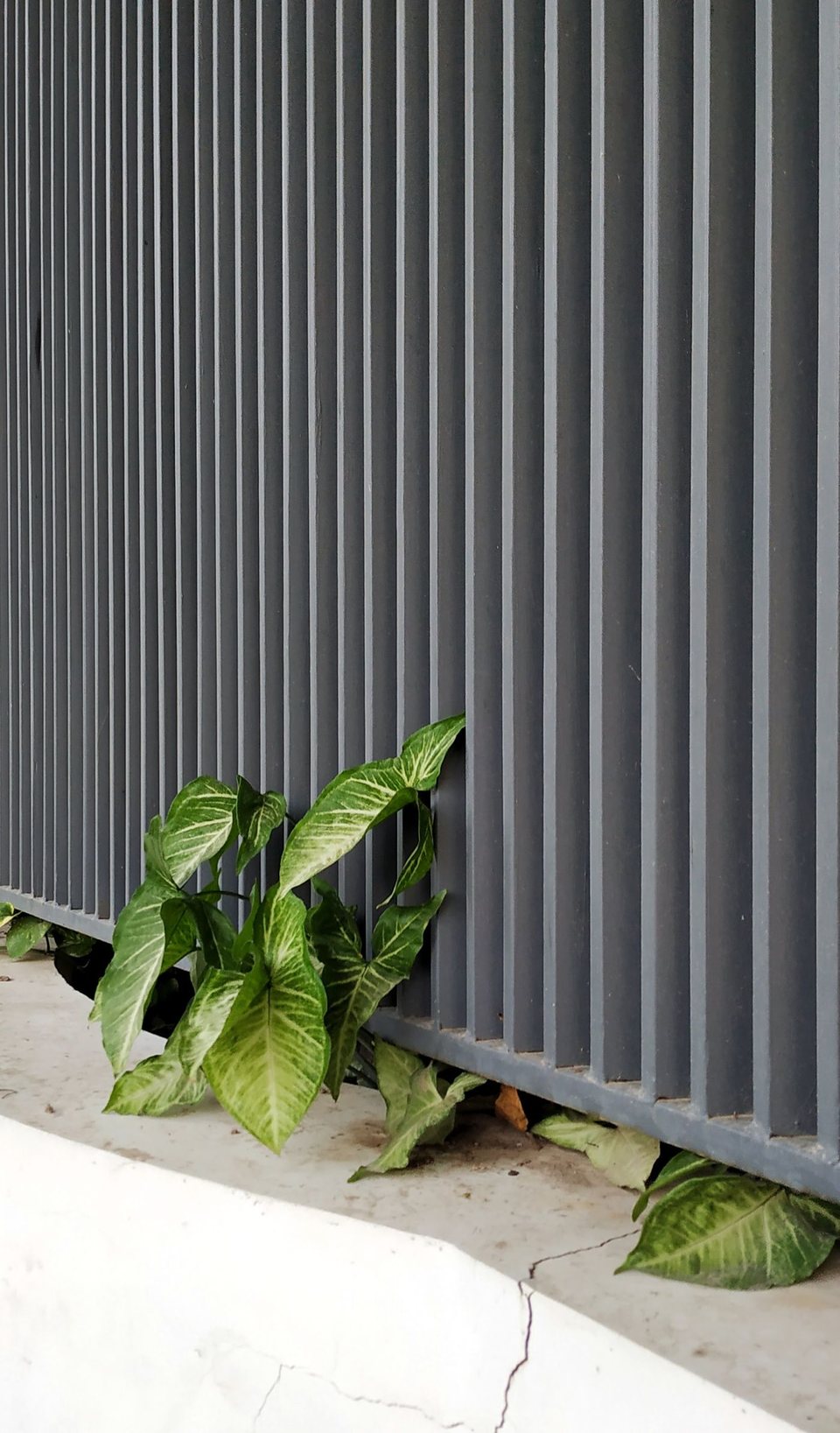 Architectural metal fence material reference